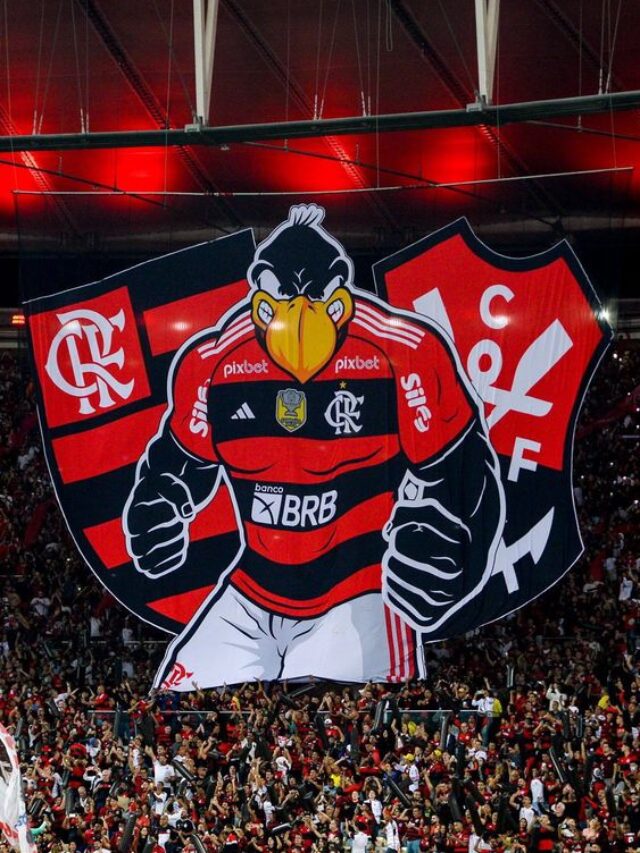 7 Curiosidades sobre o Flamengo - Stories Blogueirinho